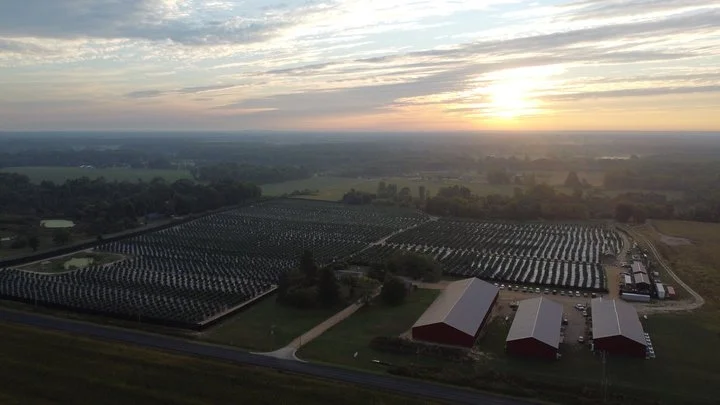 Grasshoppper Farms 34.jpg