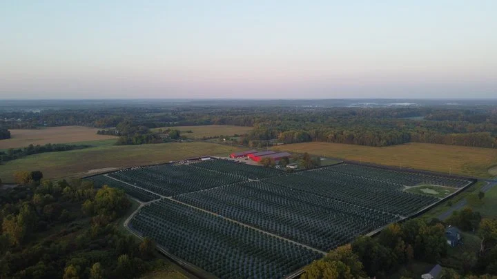 Grasshoppper Farms 35.jpg