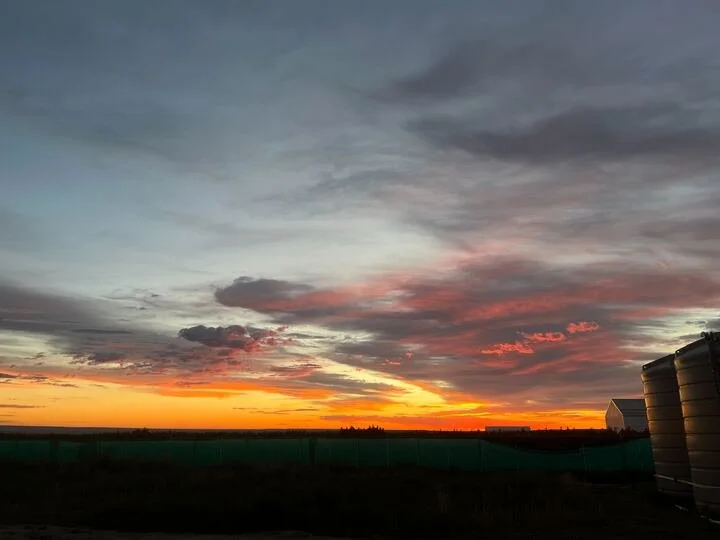 Grasshopper Farms 1.jpg