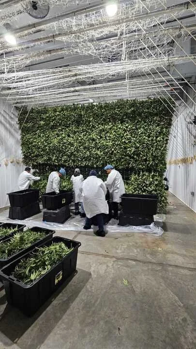 Grasshopper Farms 12.jpg