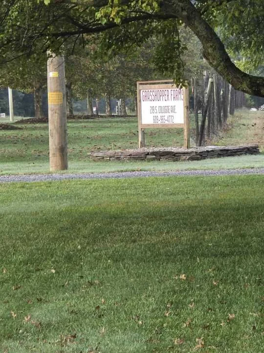Grasshopper Farms 1.jpg