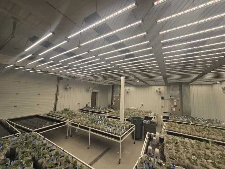 Grasshopper Farms 7.jpg