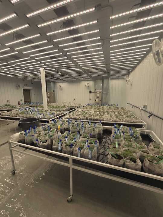 Grasshopper Farms 8.jpg