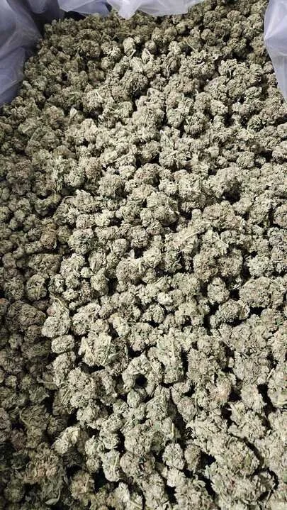 Grasshopper Farms 22.jpg