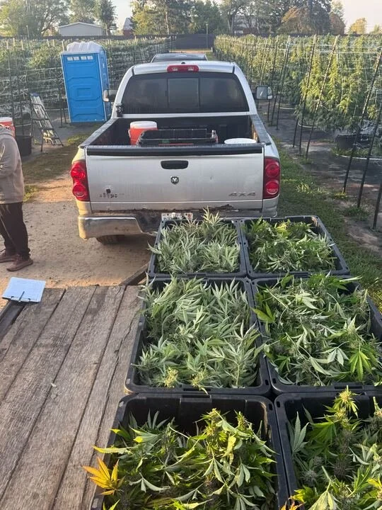 Grasshopper Farms 23.jpg
