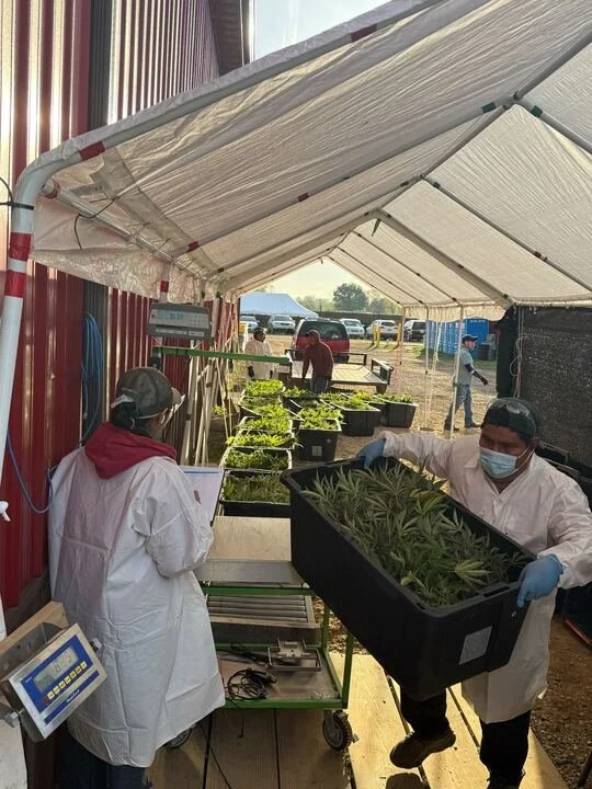 Grasshopper Farms 24.jpg