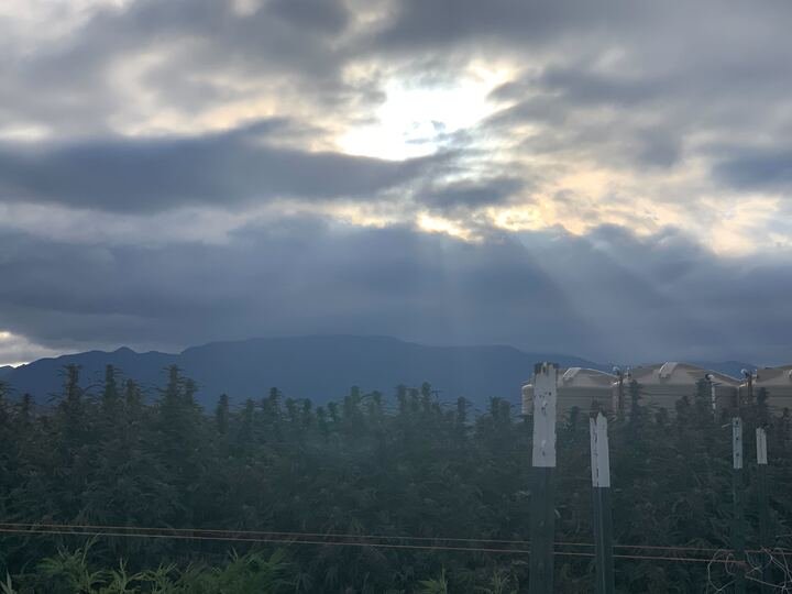 Grasshopper Farms 2.jpg