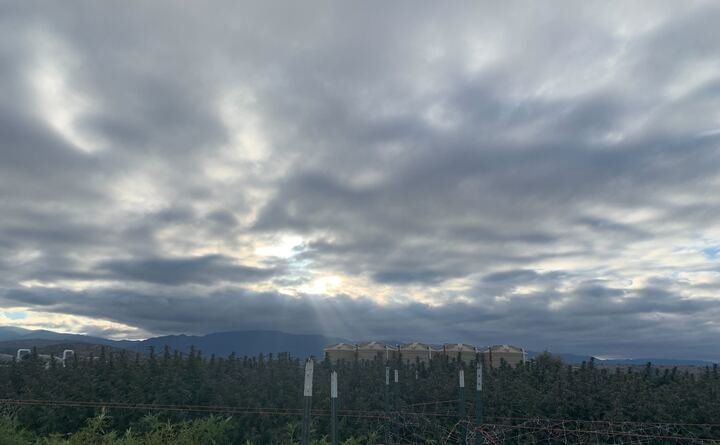 Grasshopper Farms 3.jpg