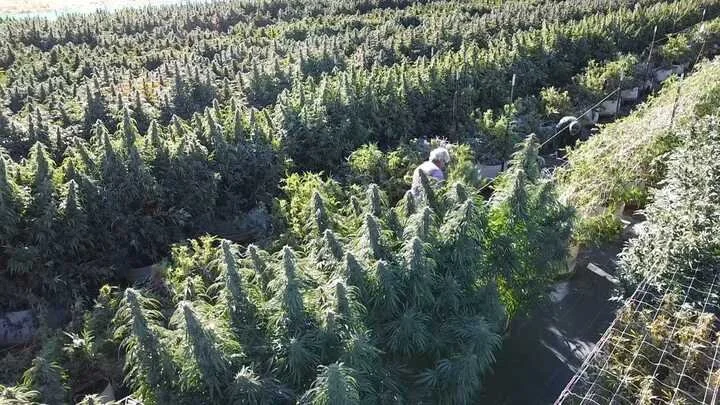 Grasshopper Farms 8.jpg