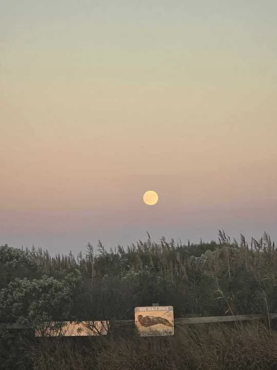 Grasshopper Farms 30.jpg
