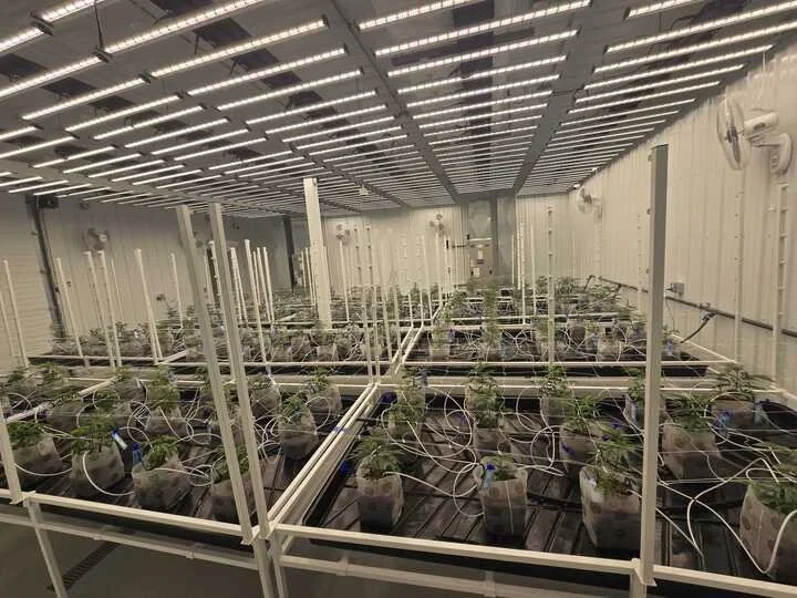 Grasshopper Farms 1.jpg