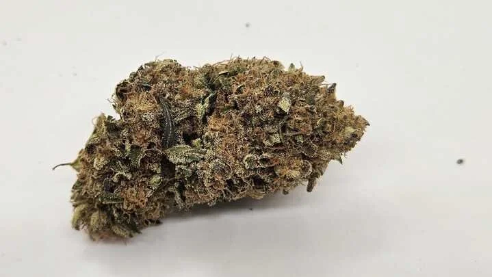 Grasshopper Farms 11.jpg