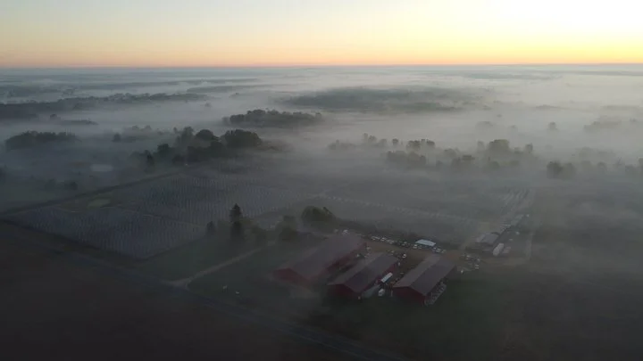 Grasshopper Farms 35.jpg