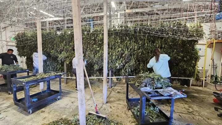 Grasshopper Farms 1.jpg