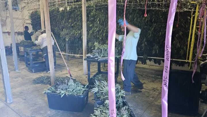 Grasshopper Farms 2.jpg
