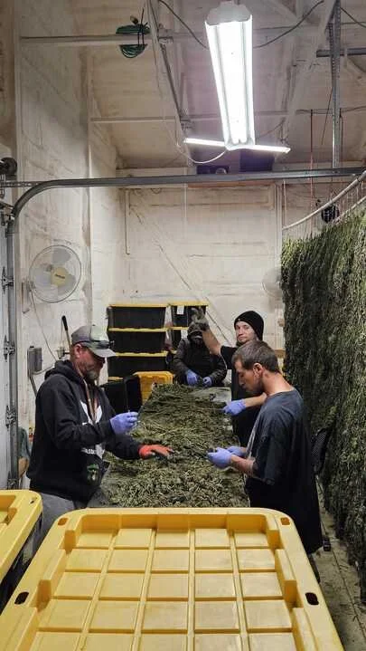 Grasshopper Farms 5.jpg