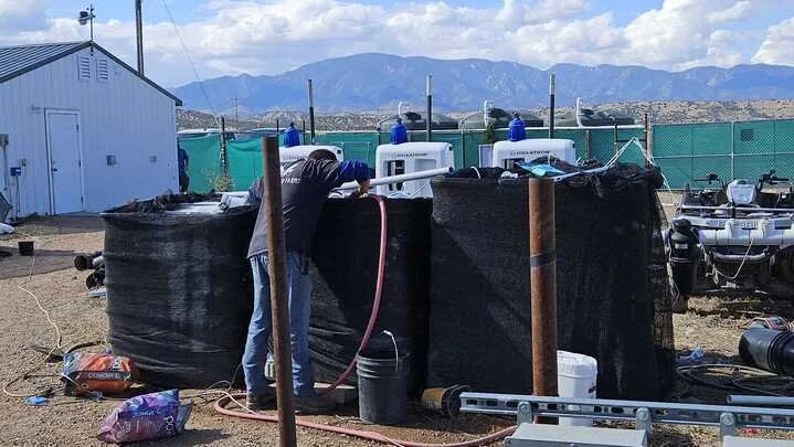 Grasshopper Farms 7.jpg