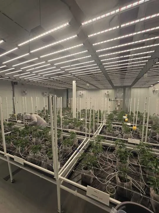 Grasshopper Farms 12.jpg