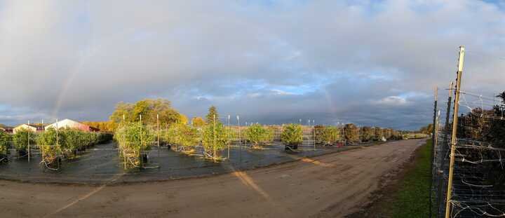 Grasshopper Farms 23.jpg