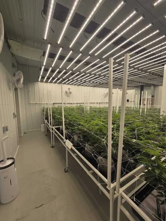 Grasshopper Farms 3.jpg