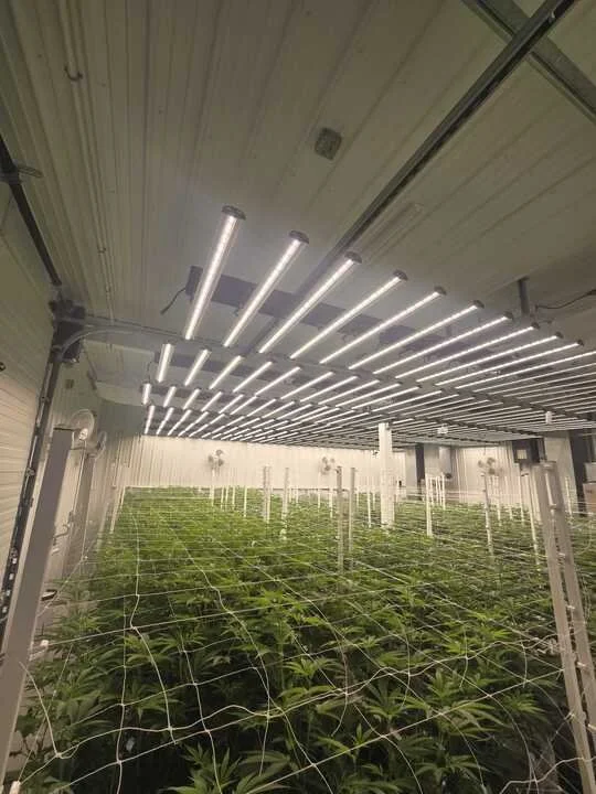 Grasshopper Farms 9.jpg