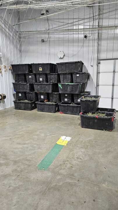 Grasshopper Farms 22.jpg