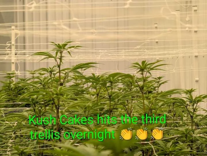 Grasshopper Farms 19.jpg