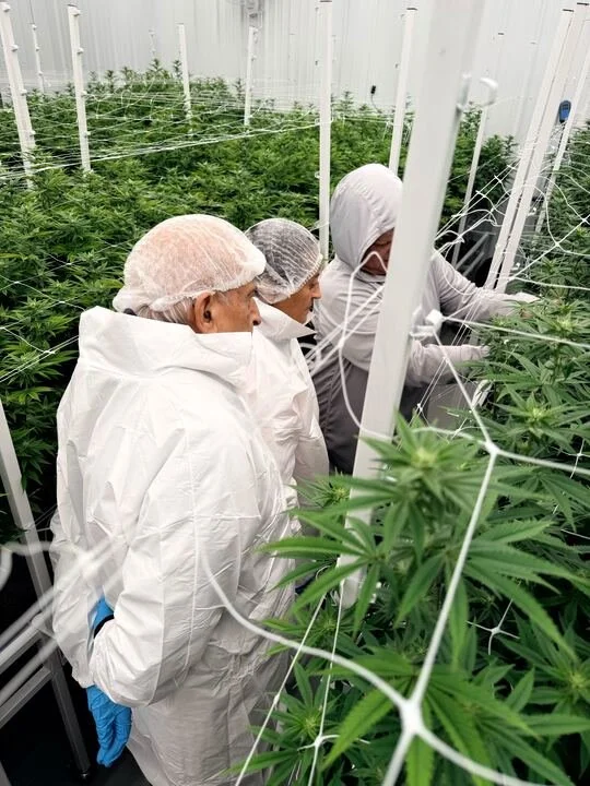 Grasshopper Farms 4.jpg