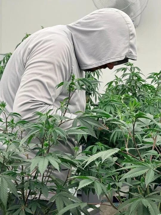 Grasshopper Farms 4.jpg