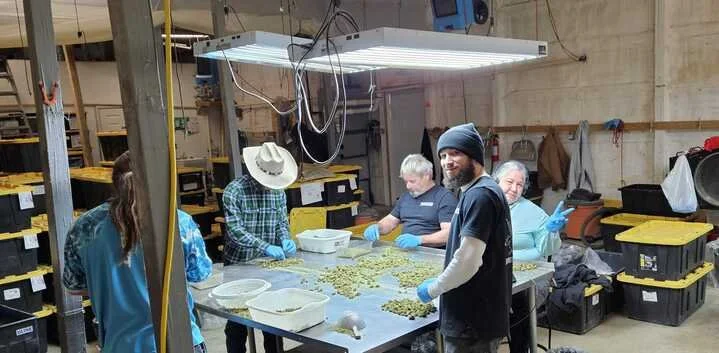 Grasshopper Farms 12.jpg