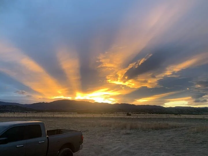 Grasshopper Farms 14.jpg