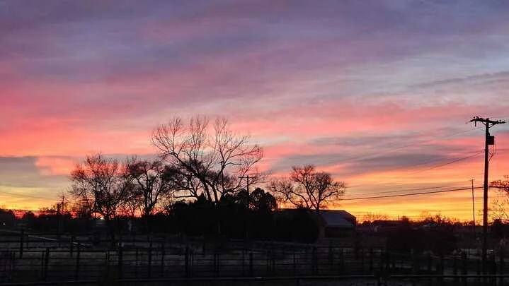 Grasshopper Farms 16.jpg