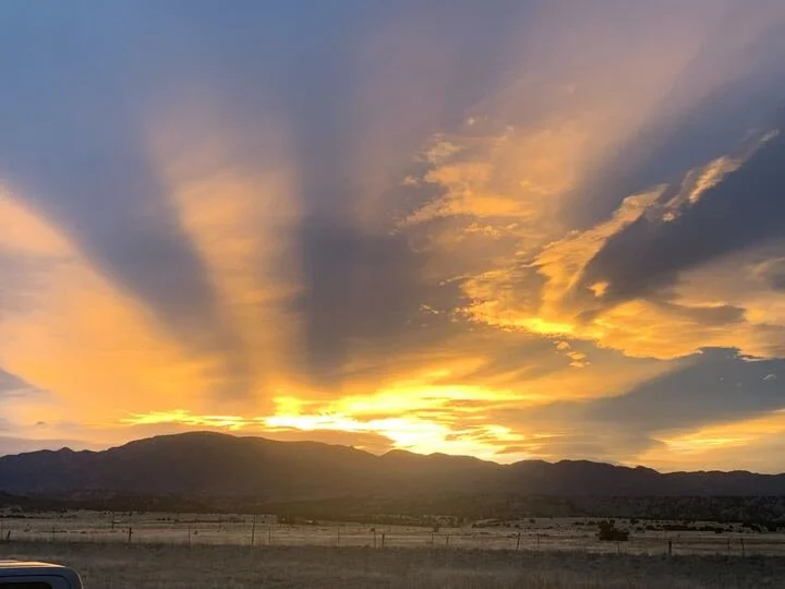 Grasshopper Farms 15.jpg