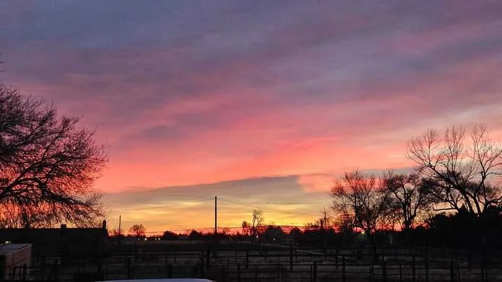 Grasshopper Farms 17.jpg