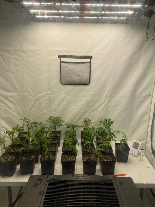 Grasshopper Farms 27.jpg