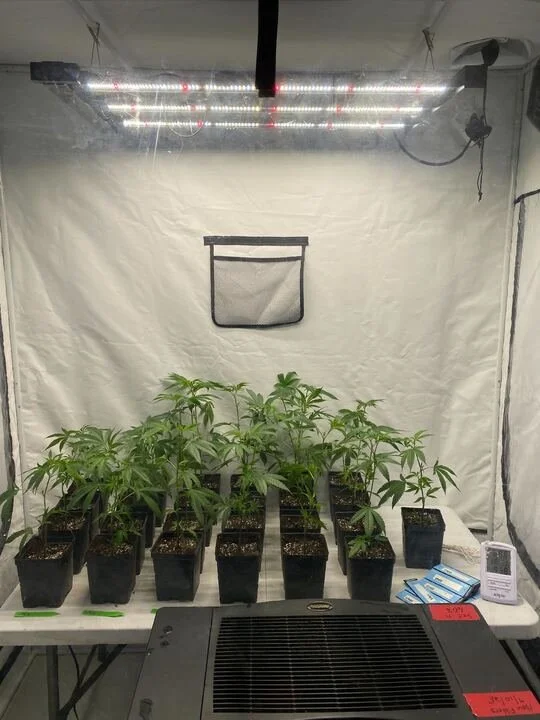 Grasshopper Farms 28.jpg