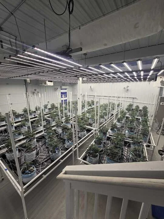 Grasshopper Farms 4.jpg