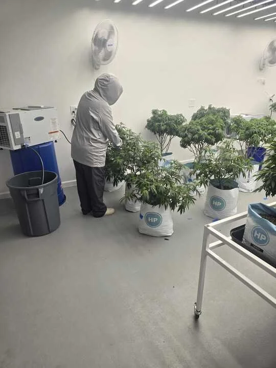 Grasshopper Farms 6.jpg