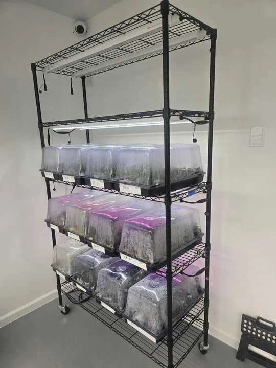 Grasshopper Farms 7.jpg