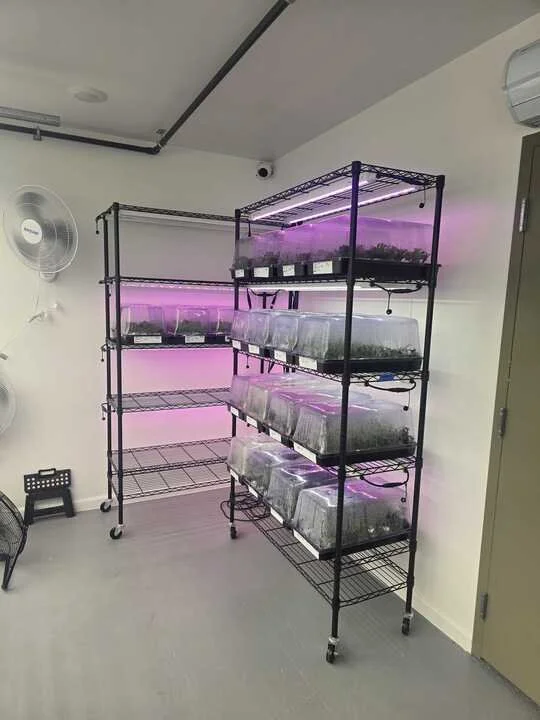 Grasshopper Farms 10.jpg