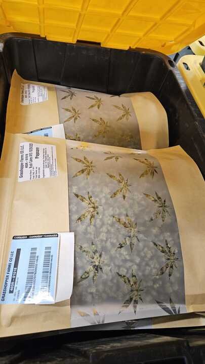 Grasshopper Farms 15.jpg