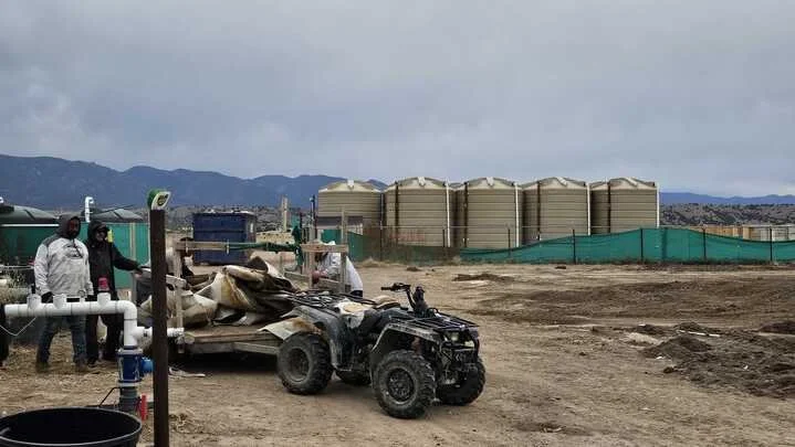 Grasshopper Farms 17.jpg