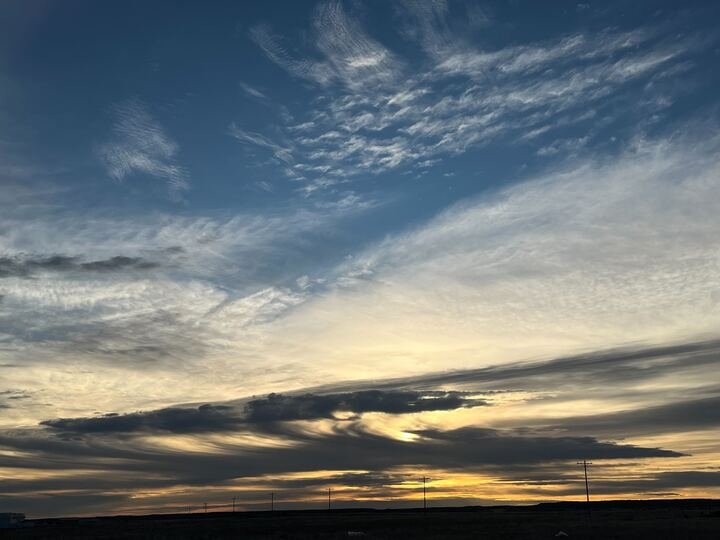 Grasshopper Farms 19.jpg