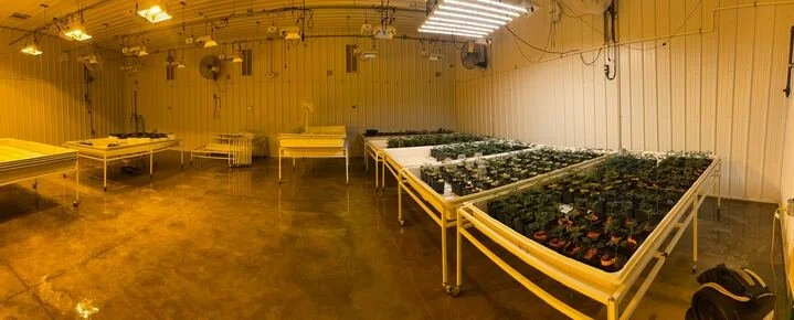 Grasshopper Farms 35.jpg