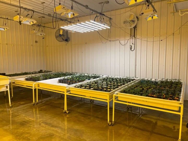 Grasshopper Farms 36.jpg