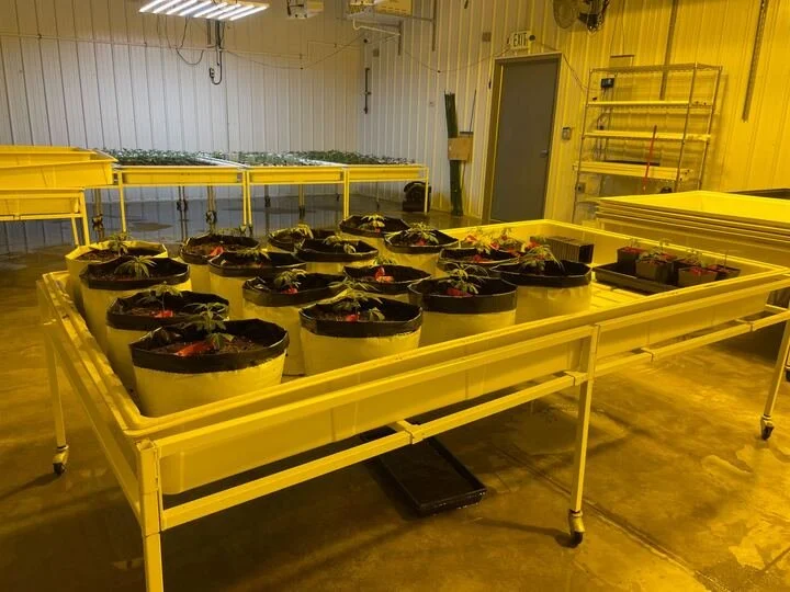 Grasshopper Farms 38.jpg