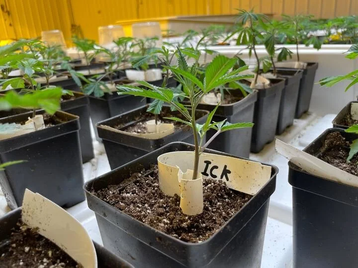 Grasshopper Farms 39.jpg