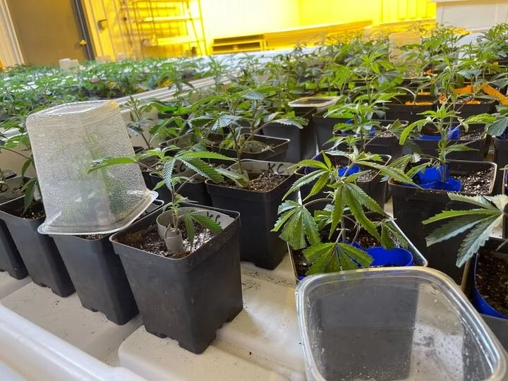 Grasshopper Farms 41.jpg