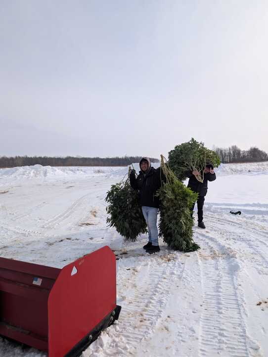 Grasshopper Farms 43.jpg