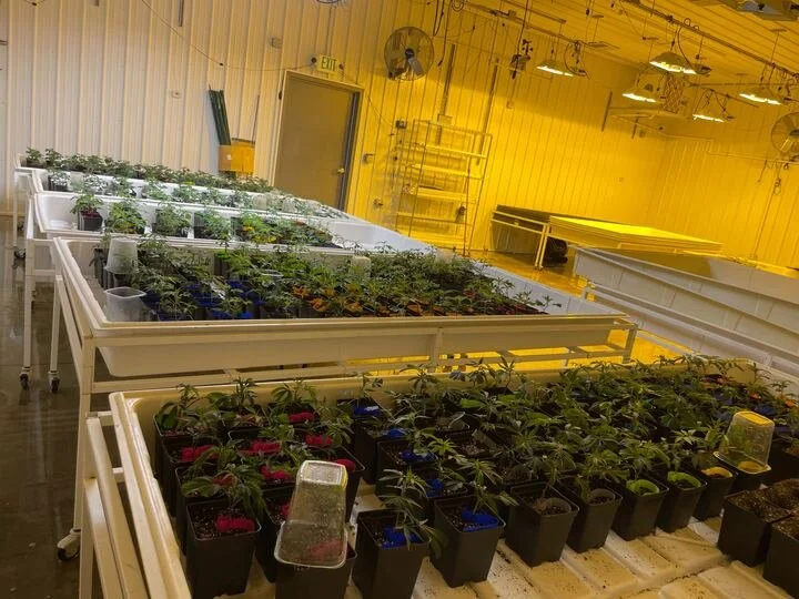 Grasshopper Farms 42.jpg